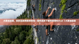大象加速器，你的互联网理想搭档—如何高效下载和使用Netcat（大象加速器）