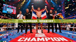 Npv免费加速器，你的加速小助手