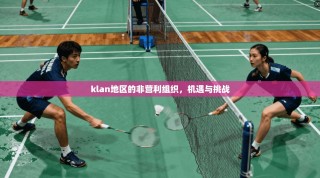 klan地区的非营利组织，机遇与挑战