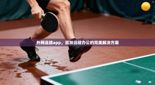 外网连接app，高效远程办公的完美解决方案