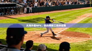 从海外看NPV，你的网络工程师指南