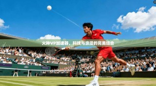 火种VP加速器，科技与浪漫的完美结合