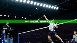 NPV 加速度器，高效解决方案