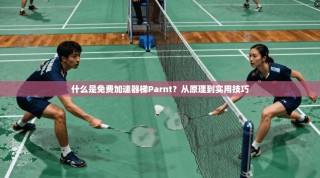 什么是免费加速器梯Parnt？从原理到实用技巧