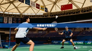 免费梯子有哪些？