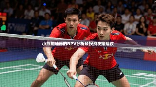 小熊加速器的NPV分析及投资决策建议