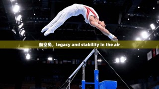航空兔，legacy and stability in the air