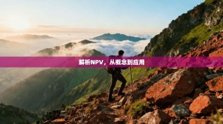 解析NPV，从概念到应用