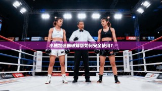 小熊加速器破解版如何安全使用？