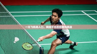 一元飞机场入口，网络平台的创新与挑战