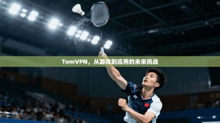 TomVPN，从游戏到应用的未来挑战