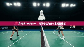 支持Linux的VPN，如何轻松与支付宝相互通信