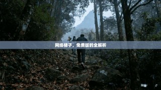 网络梯子，免费版的全解析