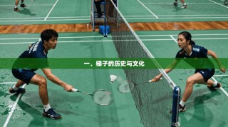 一、梯子的历史与文化