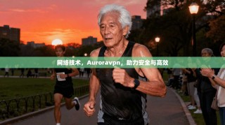 网络技术，Auroravpn，助力安全与高效