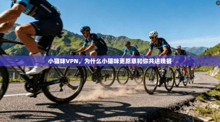 小猫咪VPN，为什么小猫咪更愿意和你共进晚餐