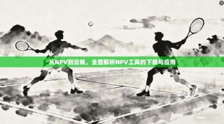 从NPV到云帆，全面解析NPV工具的下载与应用