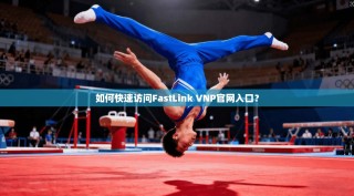 如何快速访问FastLink VNP官网入口？