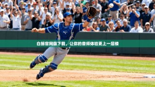 白鲸官网版下载，让你的音频体验更上一层楼