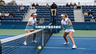 外网爬梯下载技术解析