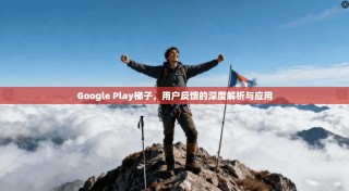 Google Play梯子，用户反馈的深度解析与应用