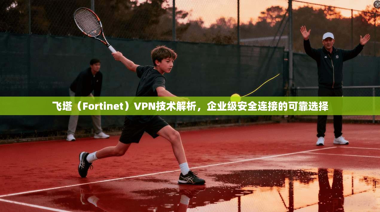 飞塔（Fortinet）VPN技术解析，企业级安全连接的可靠选择