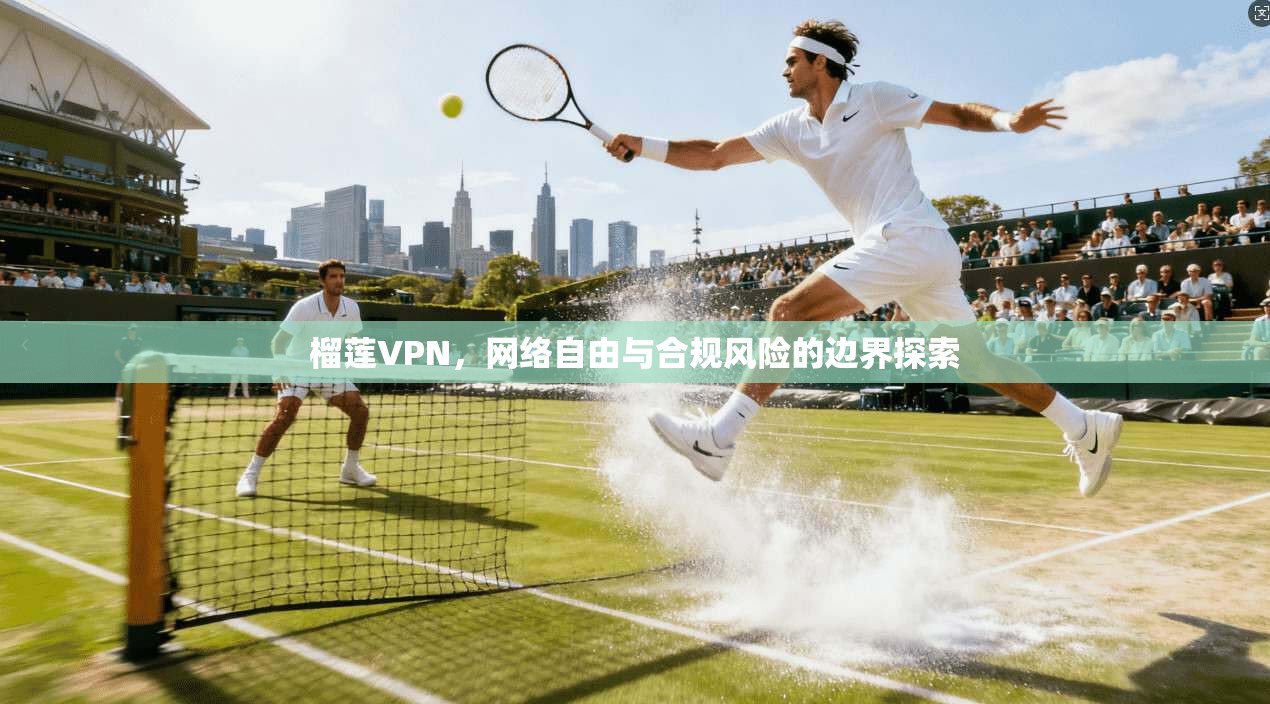 榴莲VPN，网络自由与合规风险的边界探索