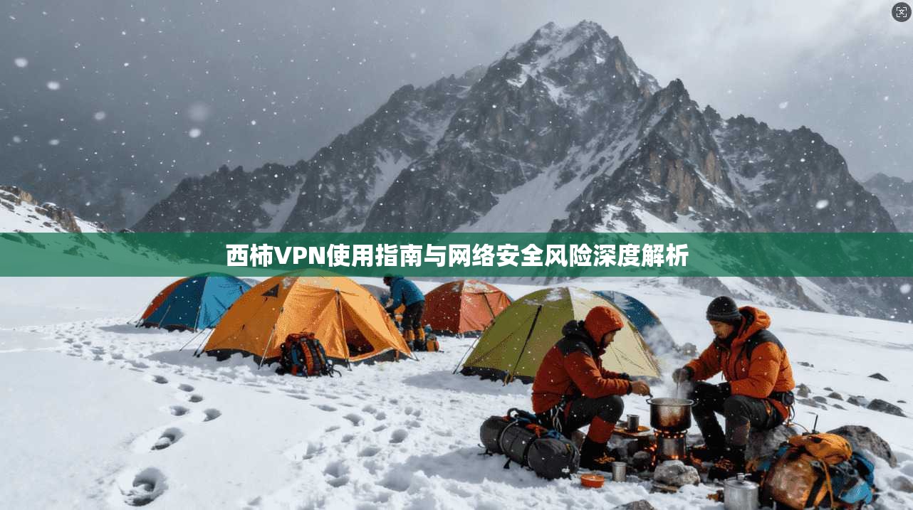 西柿VPN使用指南与网络安全风险深度解析