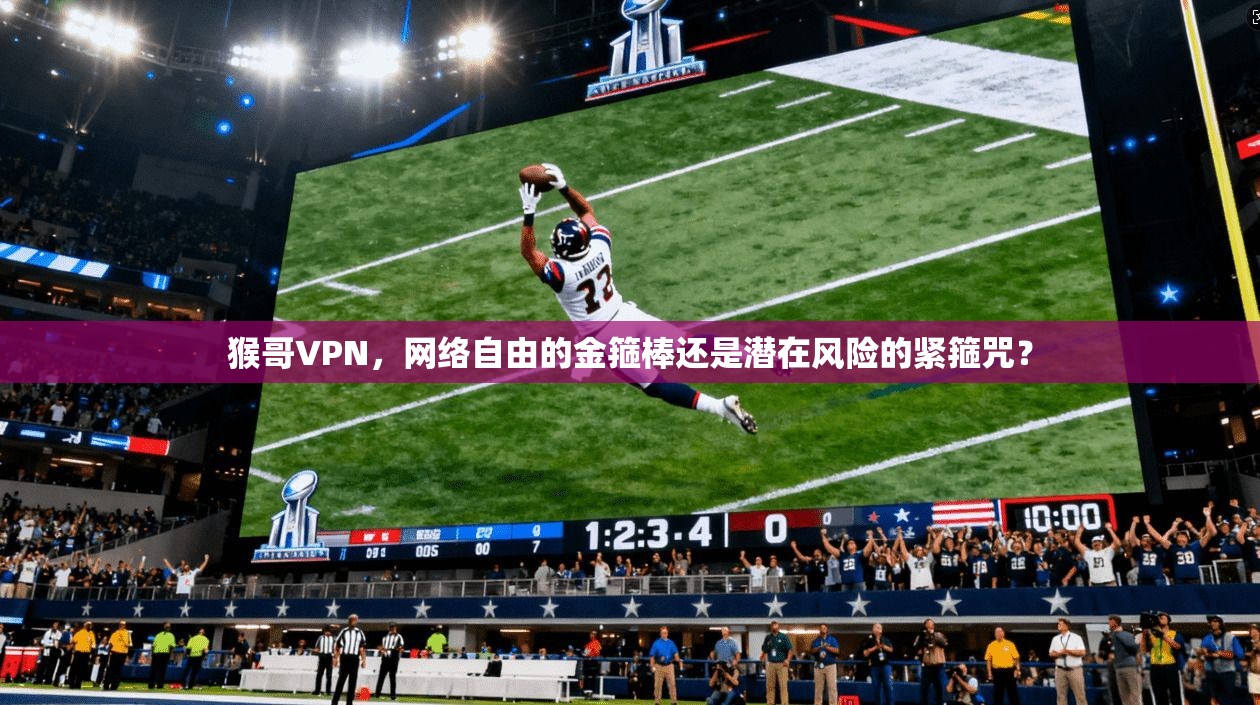 猴哥VPN,网络自由的金箍棒还是潜在风险的紧箍咒?