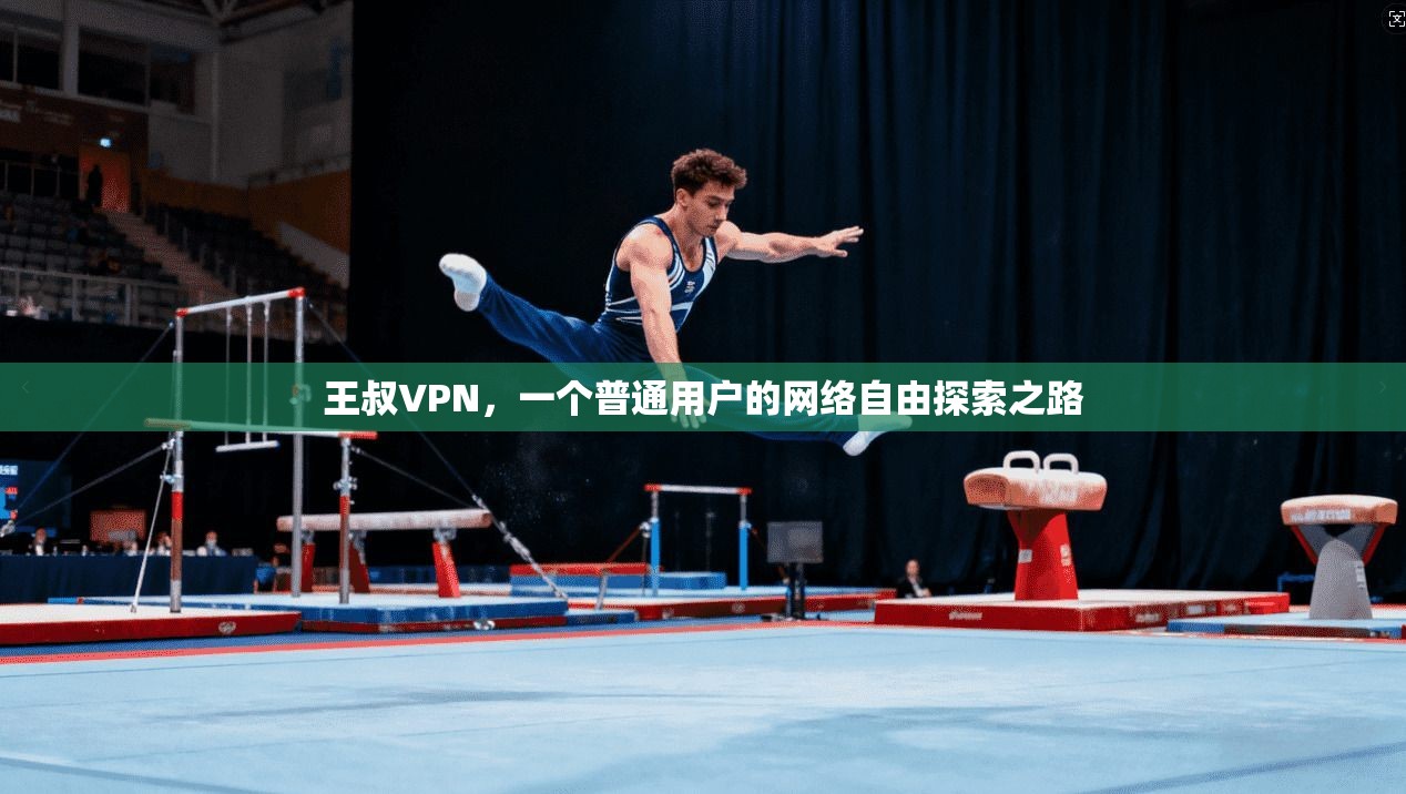 王叔VPN，一个普通用户的网络自由探索之路