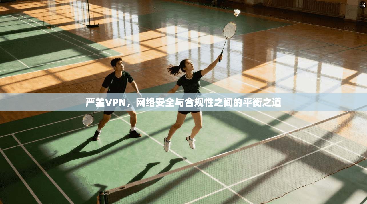 严差VPN，网络安全与合规性之间的平衡之道