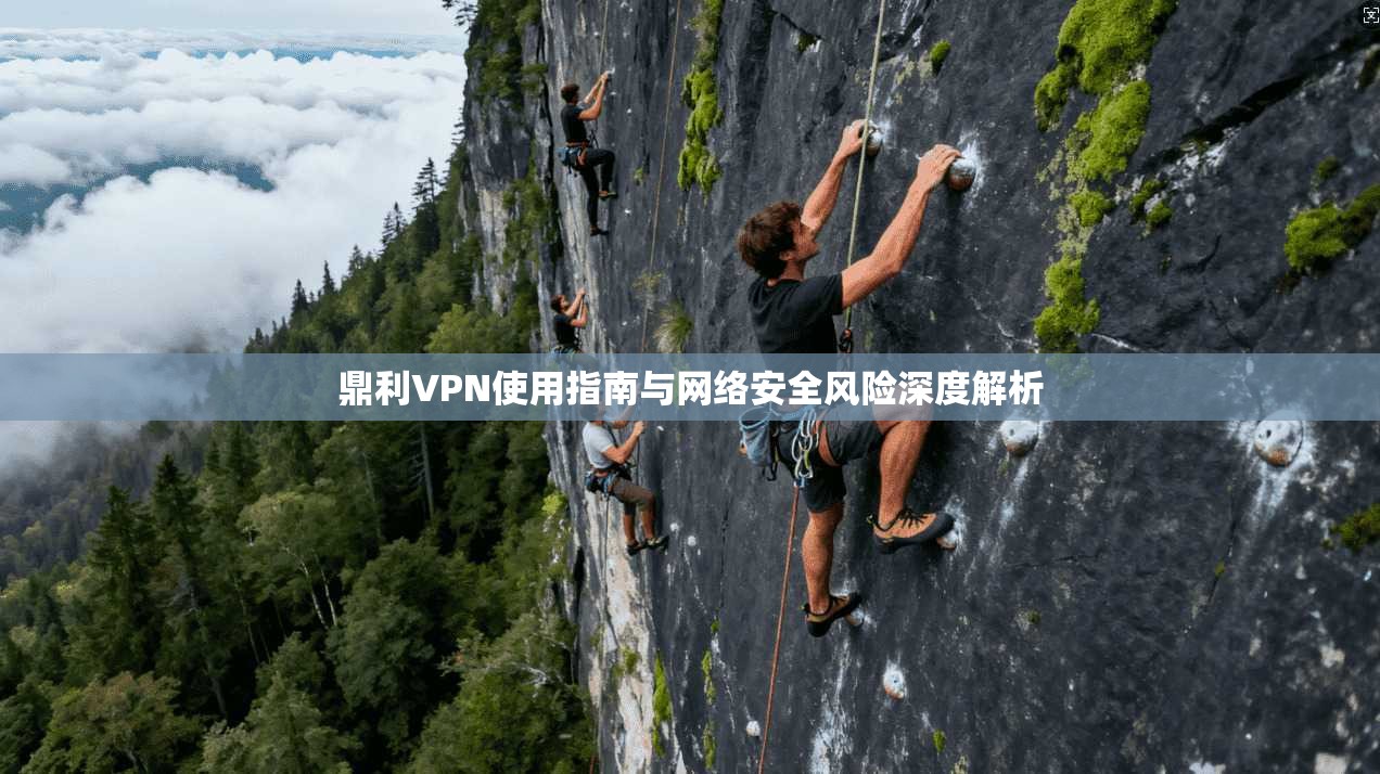 鼎利VPN使用指南与网络安全风险深度解析