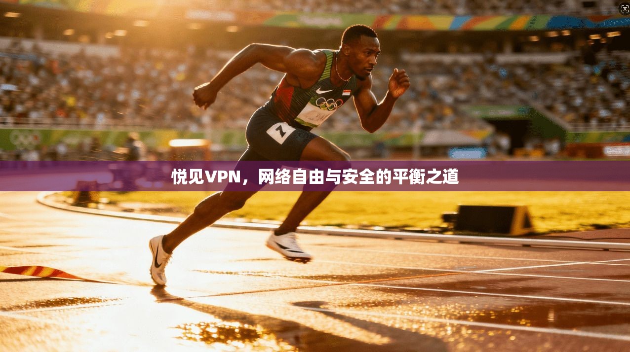 悦见VPN，网络自由与安全的平衡之道