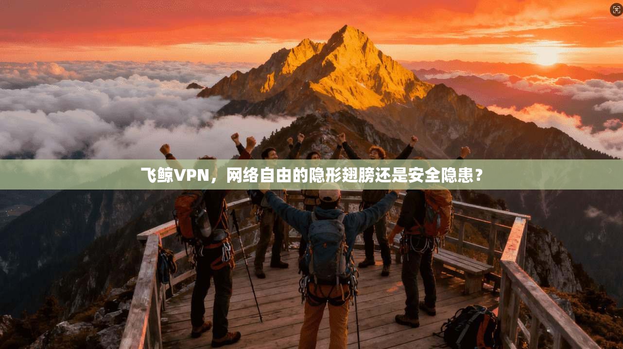 飞鲸VPN，网络自由的隐形翅膀还是安全隐患？