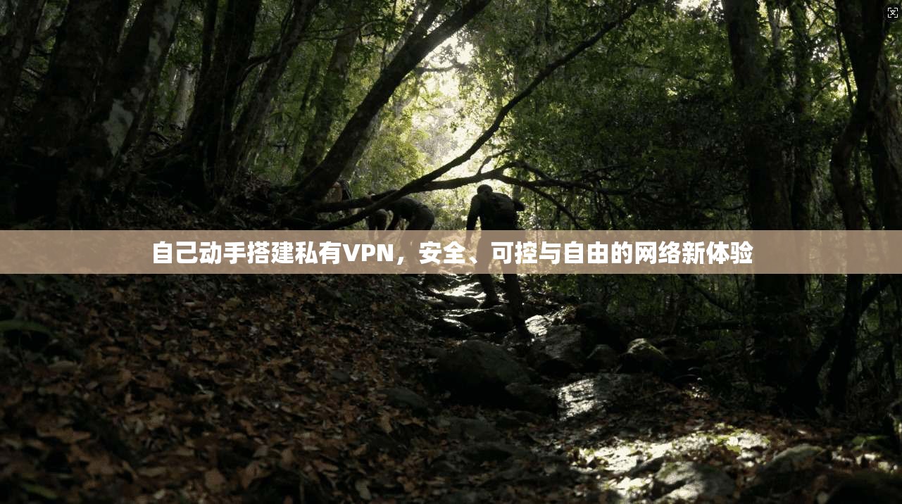 自己动手搭建私有VPN，安全、可控与自由的网络新体验