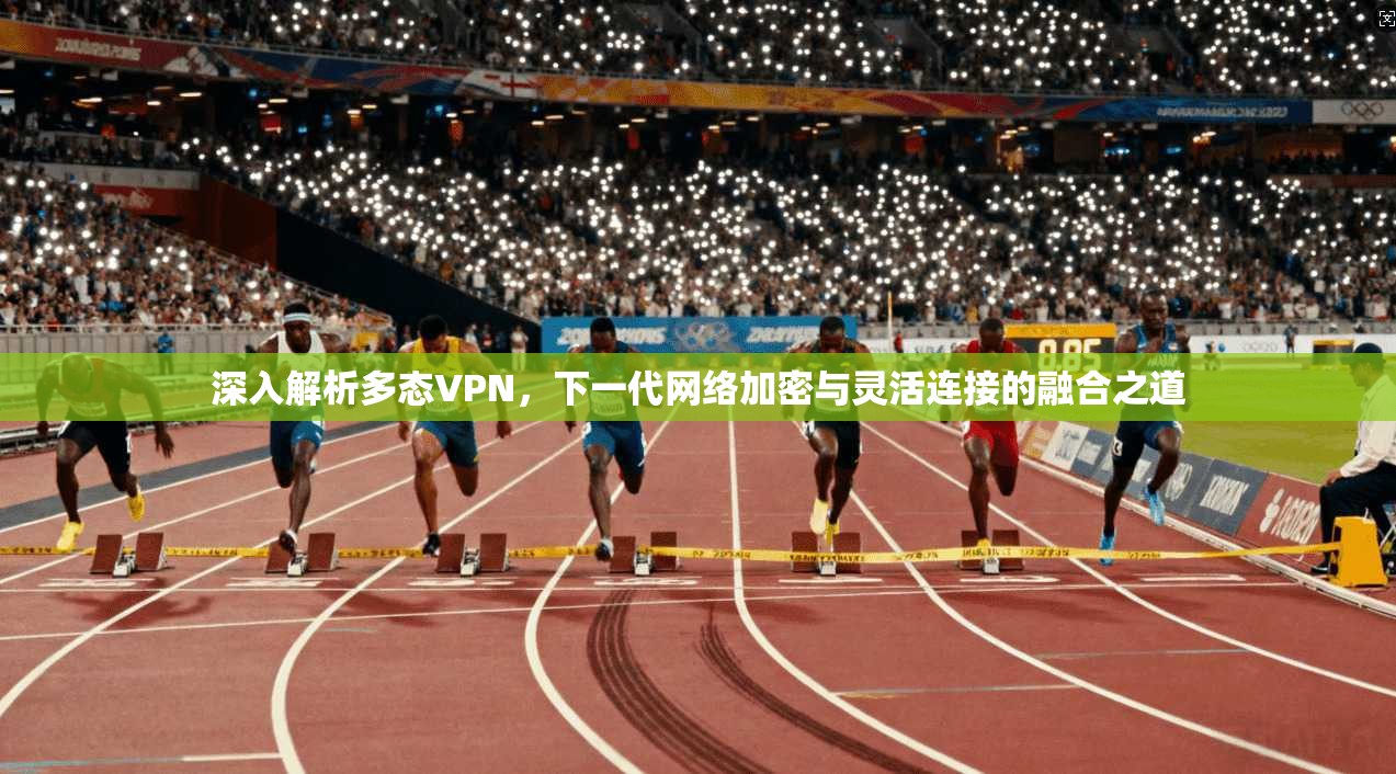 深入解析多态VPN，下一代网络加密与灵活连接的融合之道