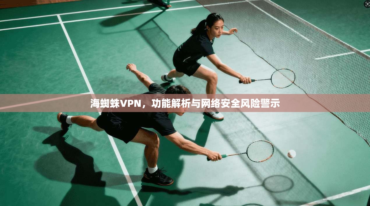 海蜘蛛VPN，功能解析与网络安全风险警示
