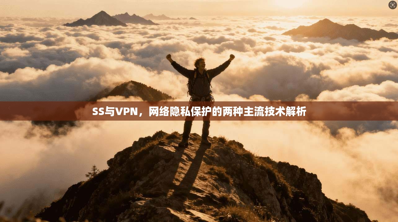 SS与VPN，网络隐私保护的两种主流技术解析