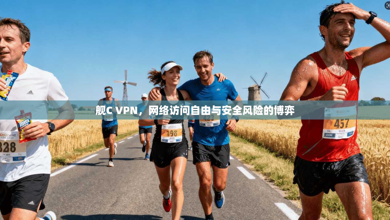 舰C VPN,网络访问自由与安全风险的博弈