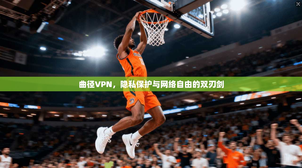 曲径VPN，隐私保护与网络自由的双刃剑