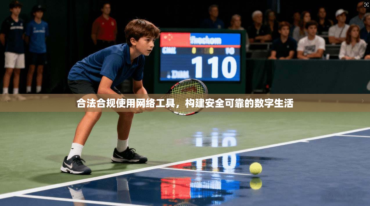 合法合规使用网络工具,构建安全可靠的数字生活