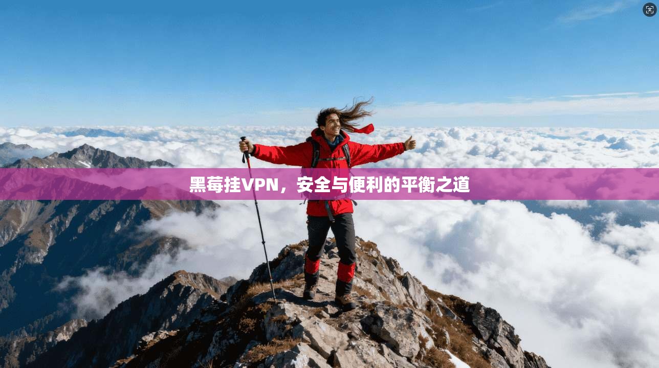 黑莓挂VPN，安全与便利的平衡之道