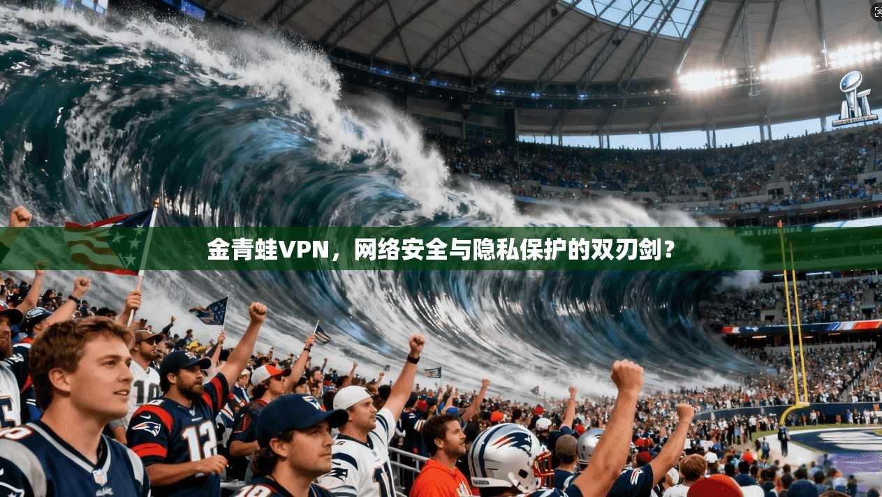 金青蛙VPN,网络安全与隐私保护的双刃剑?