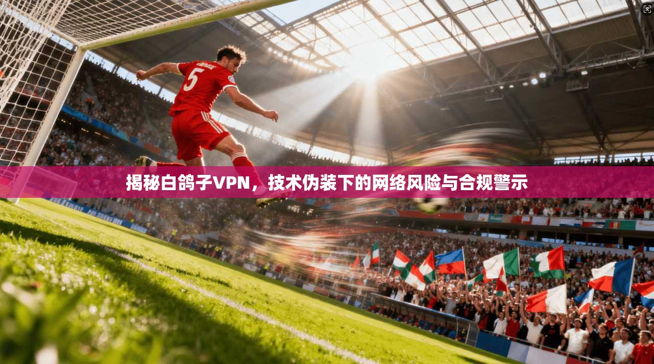 揭秘白鸽子VPN，技术伪装下的网络风险与合规警示