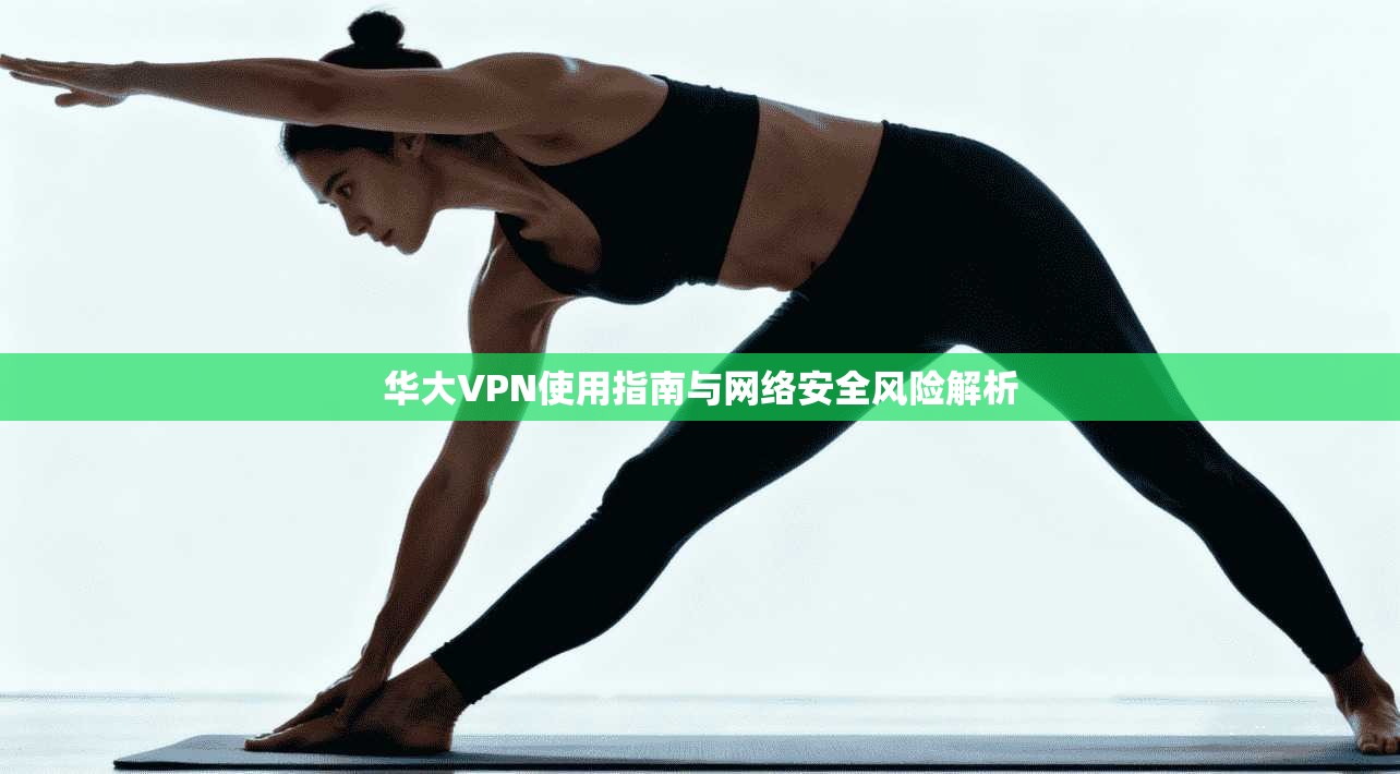 华大VPN使用指南与网络安全风险解析