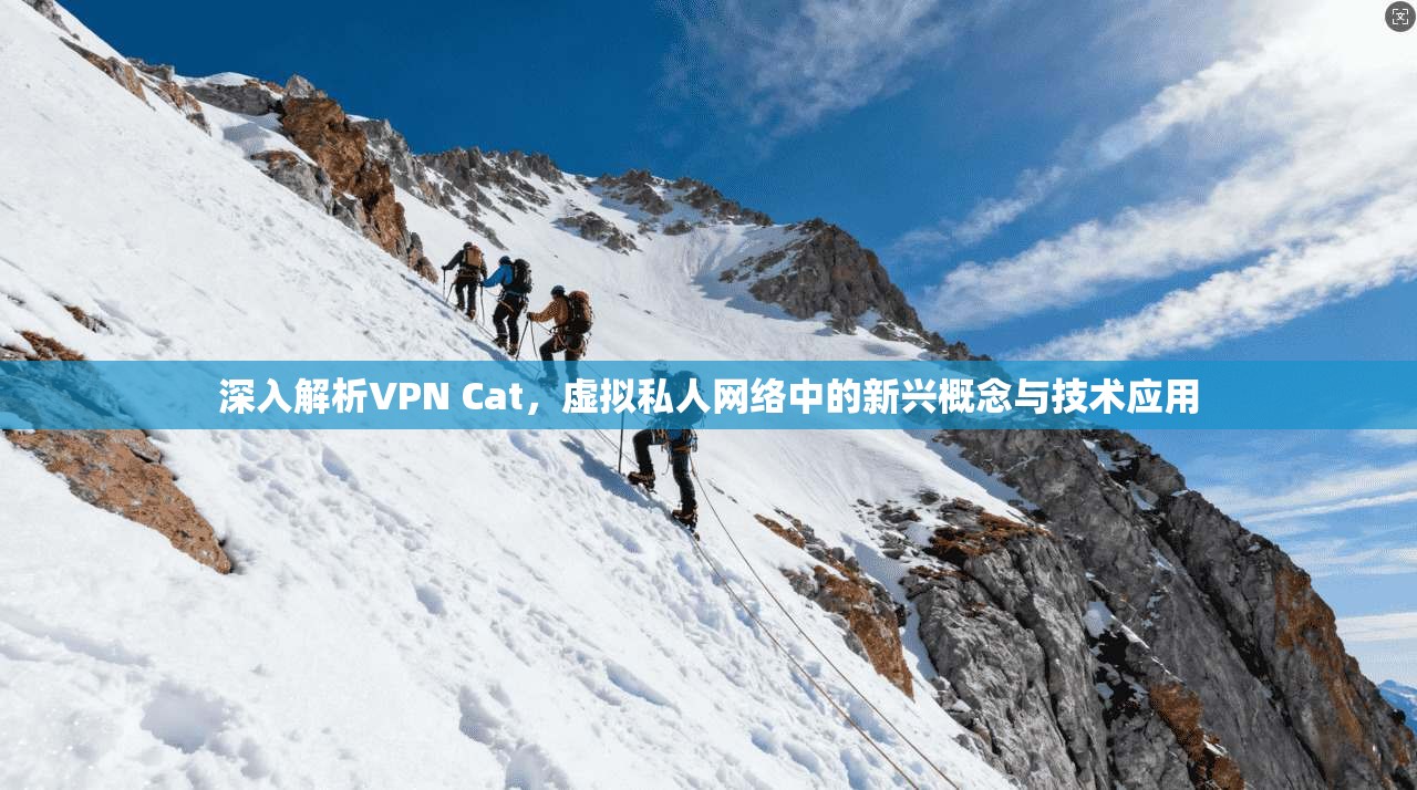 深入解析VPN Cat，虚拟私人网络中的新兴概念与技术应用