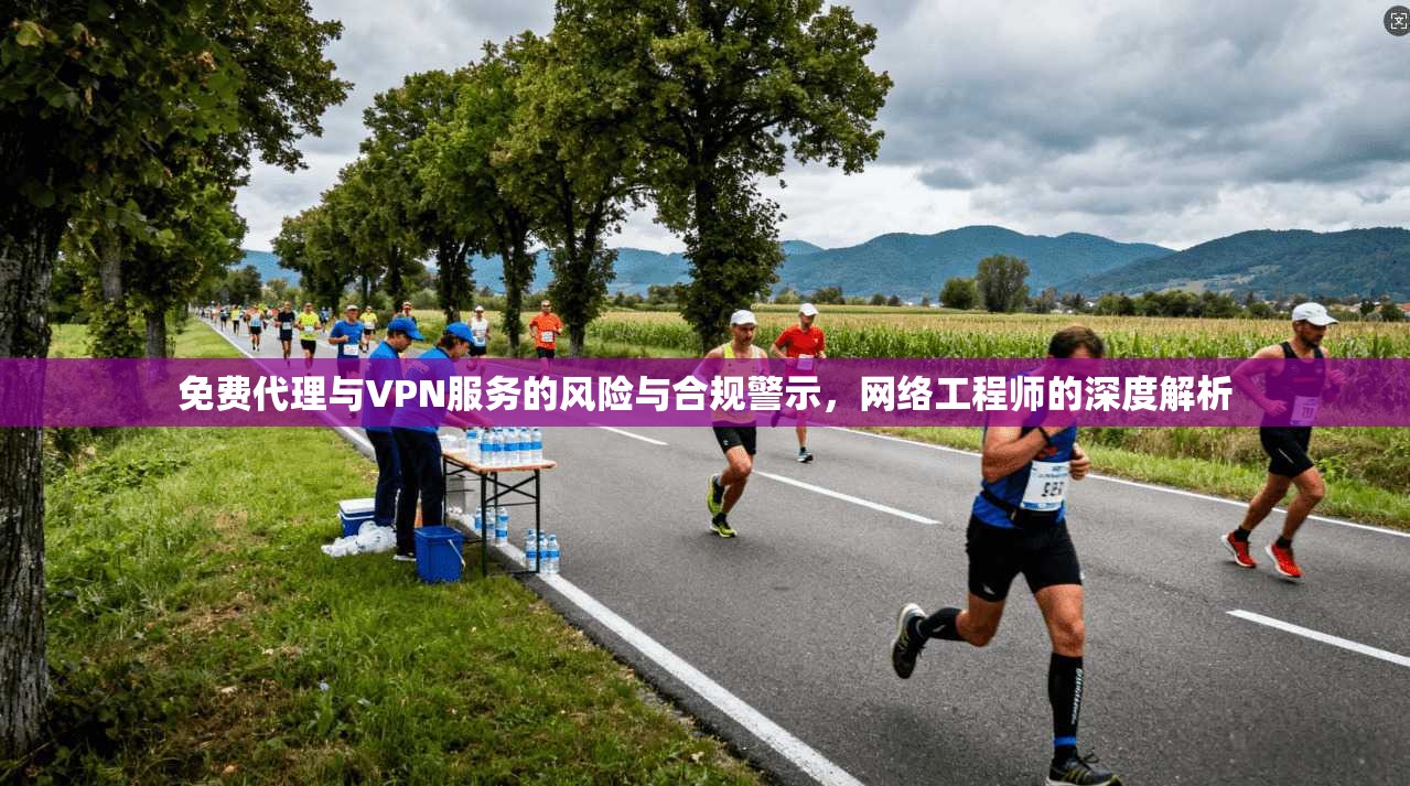 免费代理与VPN服务的风险与合规警示,网络工程师的深度解析