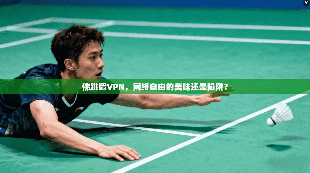 佛跳墙VPN，网络自由的美味还是陷阱？