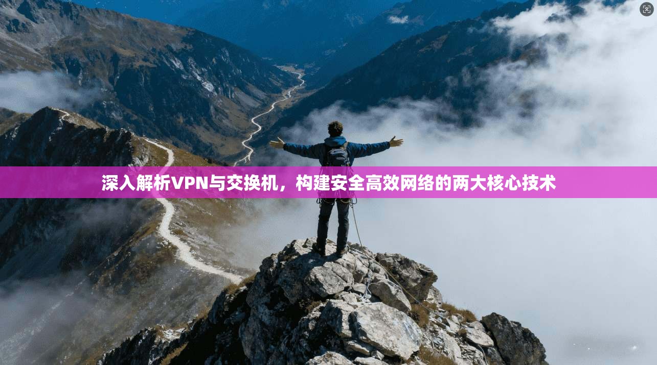 深入解析VPN与交换机，构建安全高效网络的两大核心技术
