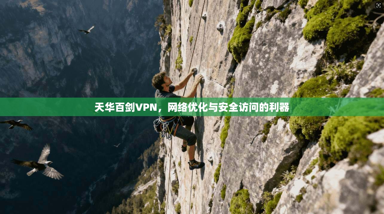 天华百剑VPN，网络优化与安全访问的利器